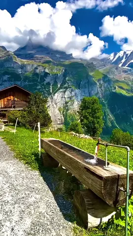 #creatorsearchinsights #fyp #treanding #growmyaccount 