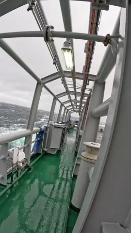 #amy #storm #offshore #norgvarg #tiktoksea 