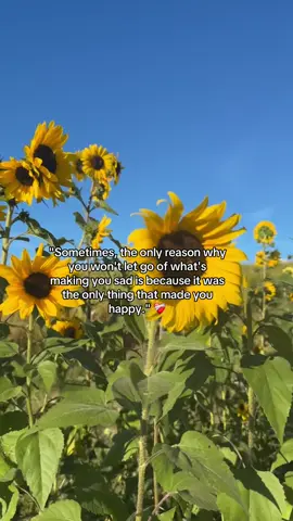 Real 💯🥲 #guyanesetiktok🇬🇾 #caribbeantiktokeurs🇭🇹🇬🇾🇹🇹🇸🇷🇯🇲 #fypシ゚viral🖤tiktok #quoteoftheday #sunflower