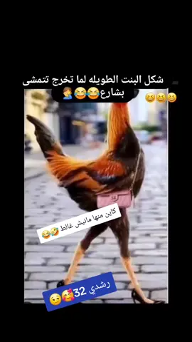 رشدي 32🥰😏