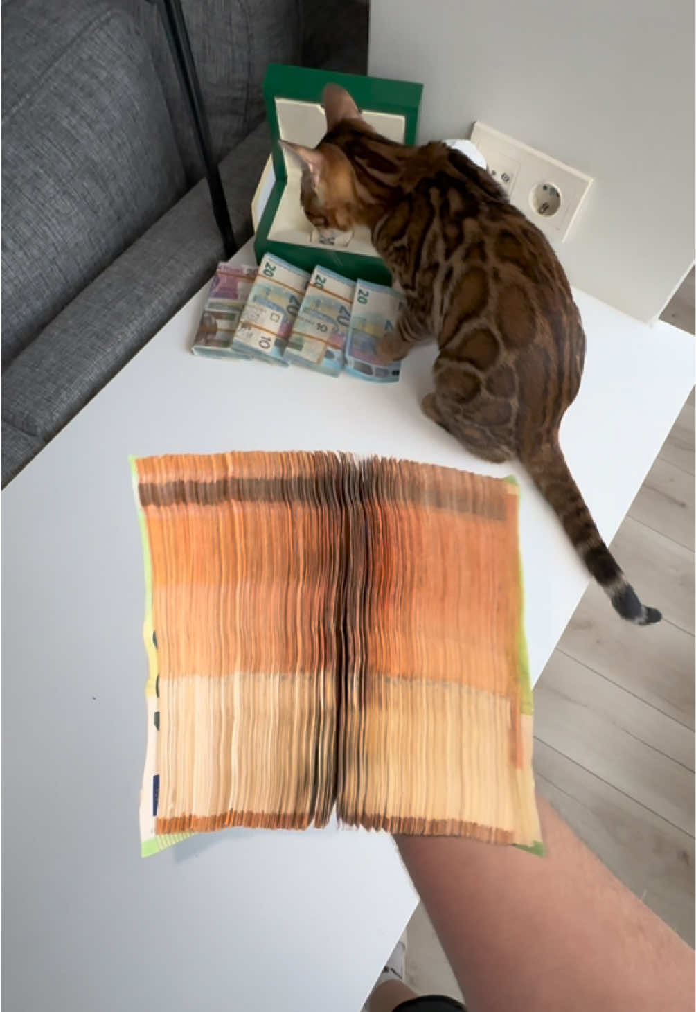 #money #rich #euro #cash #viral 