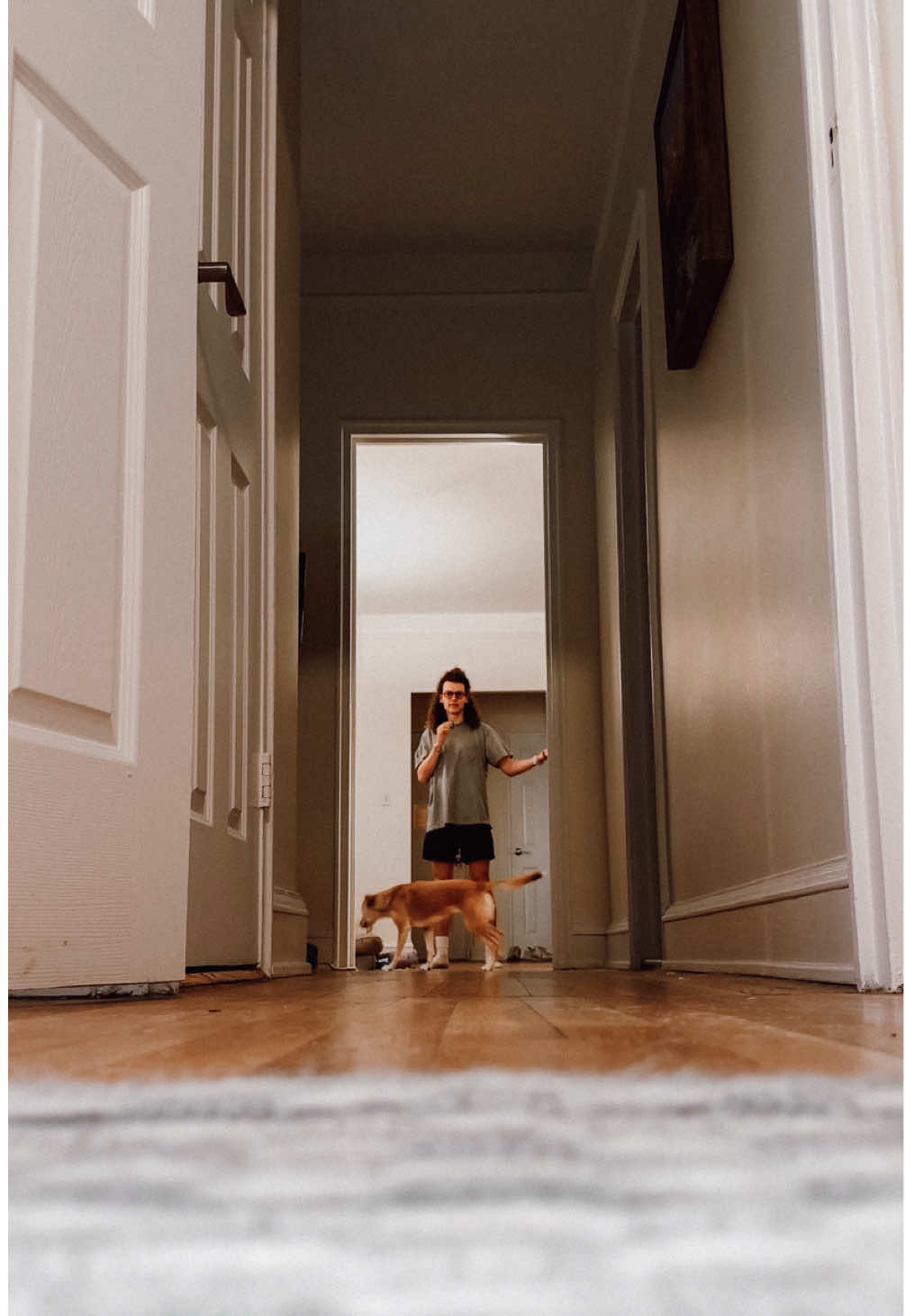 If only a dog could command me to “stay” forever… #rover #dog #dogsit #nyc 