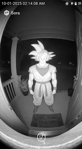 Goku makes an odd appearance at the front door #ring #sora #funny #ai #dragonball 