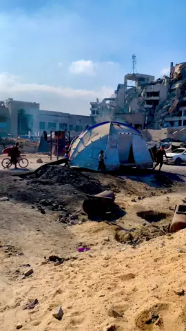 #اوقفوا_الابادة #فلسطين #غزة #تعبان #حرب 