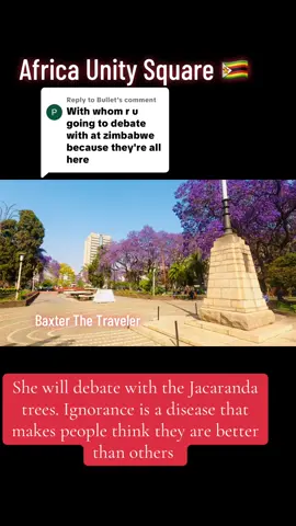 Replying to @Bullet ignorance is a disease that can cause people to think they are better than others #baxterthetraveler #zimtiktokers🇿🇼🇿🇼🇿🇼 #zimtiktok #zimbabwe 