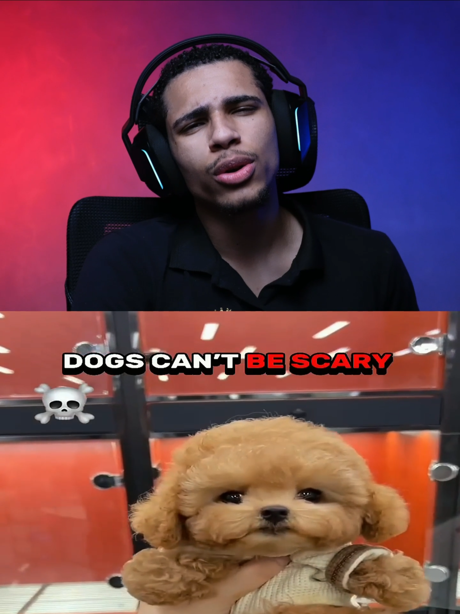 Eu Acho Que Depois Desse Vídeo Você Vai Ter Medo de Cachorro 🐕🫣