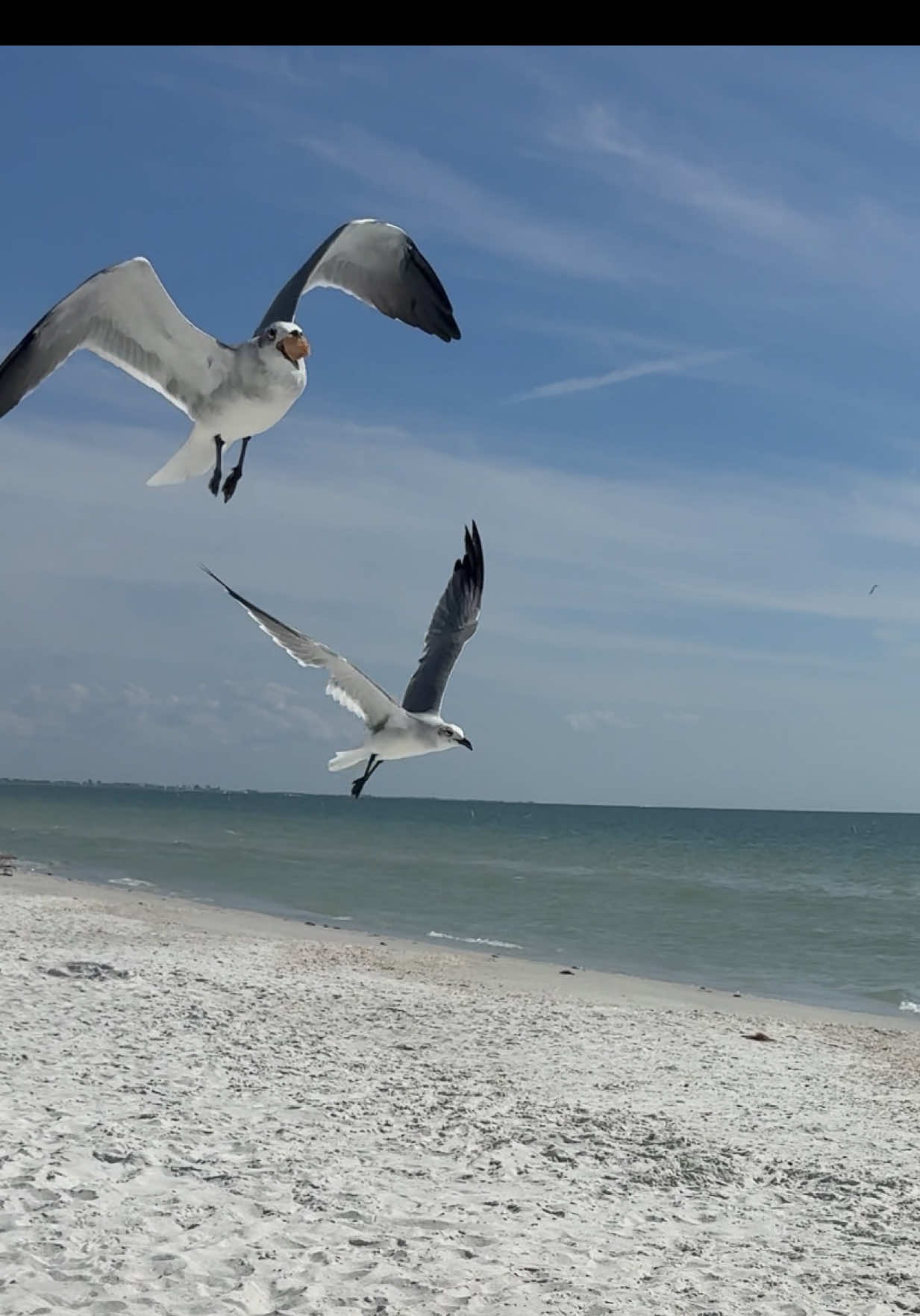 October beaches >>> summer beaches. Less heatstroke, no jellyfish, and way better vibes. Y’all can keep your sweaty July ✌🏼#octobermood #beach #florida #octobertiktok #creatorsearchinsights 
