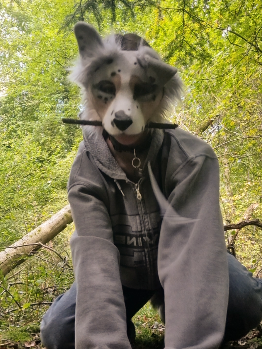 playing fetch🐾 #quadrobics #Therian #Theriantiktok #furry #dogtherian 