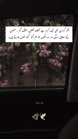 شکراً یا ربّی  #aina_e_miraal #deeplines #unfreezemyacount #growmyaccount #dontunderreviewmyvideo 
