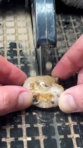 “It’s ALIVE!” Premium Laguna agate has parallax bands! #geology #rocks