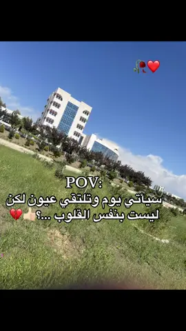 💔💔 #جامعة_الهضاب_سطيف #جامعة_محمد_لمين_دباغين_سطيف #university #fyp #capcut 