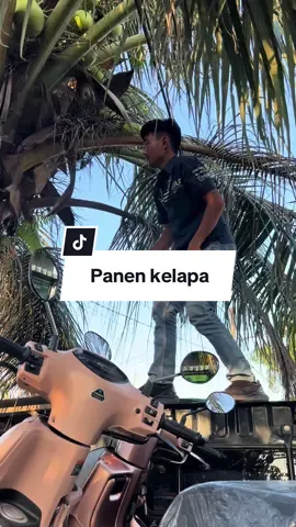 Antar unit sambil panen kelapa  #marketingtips #yamaha #antarunit #fyp #viraltiktok 