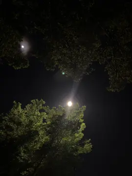 i’m talkin’to the moon?