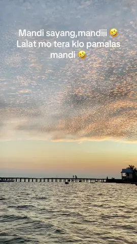 Mandi sayanggggg,mandiiiii 🤣🤣 #fypシ #semuaorang #senja 