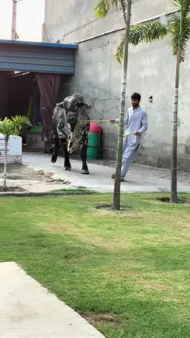 Mashallah 😍 