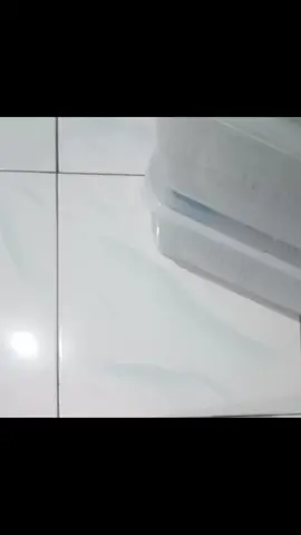 beberes mini farm kitaa #leopardgecko 