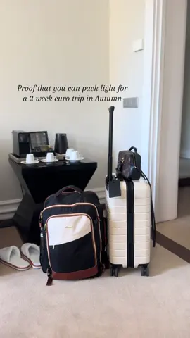 Yall keep questioning if everything fit- here’s proof! The personal bag is key and 🔗 in my bio #travel #travelhack #traveltip #packingtip #packinghack