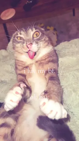 happy national boyfriends day #bf #page_yori #fyp #ilovemybf #nationalboyfriendsday 