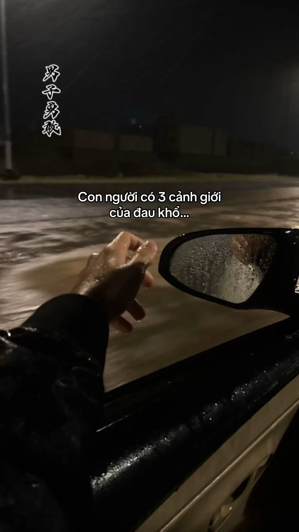 Bạn đã đạt đến cảnh giới nào rồi ?  #男子勇敢 #lionking35 