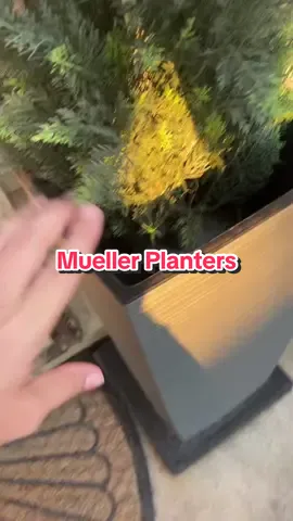 #tiktokshopfalldealsforyou #tiktokshopcreatorpicks #planters #backyardvibes 