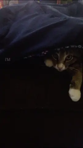 #lyrics #foryoupage #yckoimebskt #onbendedknee #boyzmen 