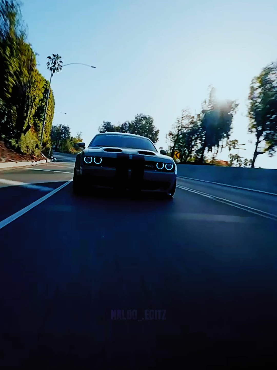 The Hell Cat😒| @theprovideo.inc |#teamfx⚜️ #sounds #caredits #4k #dodgecharger #hellcat