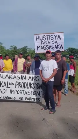 Kung tutuusin,panahon ng anihan dapat masaya ang mga magsasaka pero paano kung bagsak ang presyo ng palay? At sobrang taas nmn ng presyo ng abono lugi na pagod pa 3 buwan inalagaan at iningatan dugo at pawis ang sinakripisyo,Sana wag nating kalimutan na ang bigas na kinakain natin sa araw araw ay bunga ng sakripisyo ng bawat magsasaka mag hapon nasa bukid at lumalaban ng patas pero kung ang kanilang inaasahan ay kulang pa sa pambayad ng utang?   laban mag sasakang Filipino!!! #supportlocalfarmers🌾 #magsasaka  #nuevaecija #bangonpilipinas 