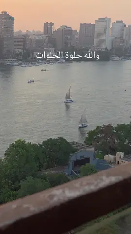 بلدى حلوة الحلوات #مصر #النيل #اكسبلورexplore #الشعب_الصيني_ماله_حل😂😂 #