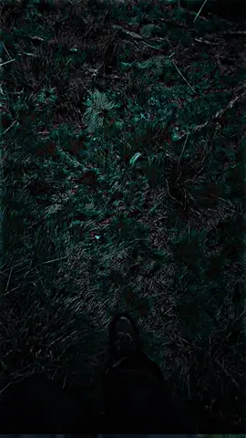 حيل اريد اعض العيد وترك نياشين#شعراء_وذواقين_الشعر_الشعبي #مجرد________ذووووووق🎶🎵💞 #المصمم_اعدام 