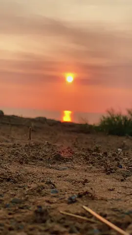 #حكمة_اليوم 