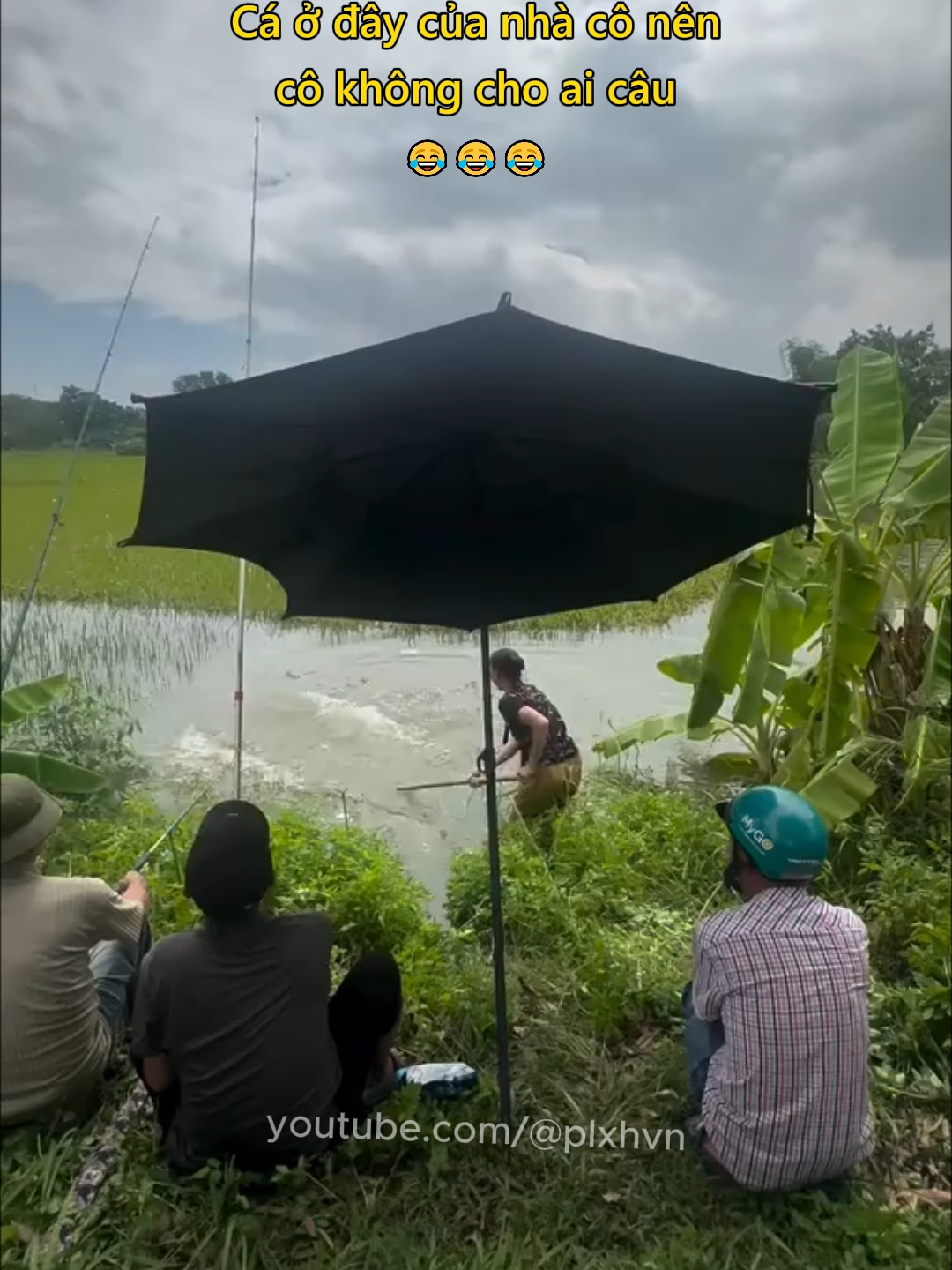 Cá ở đây của nhà cô nên cô không cho ai câu 😂 #xahoi #cauca #phunu #chuyenla #cuocsong #plxhvn #phapluatxahoi