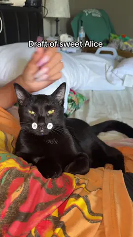 Forever my void 🖤 I will be posting my drafts of sweet girl. Love you guys <3 #catsoftiktok #grief #foryoupage #fyp #cat 