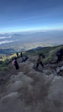 sangat mulus ini #fyp #ciremai3078mdpl #pendakigunung #viaapuy 