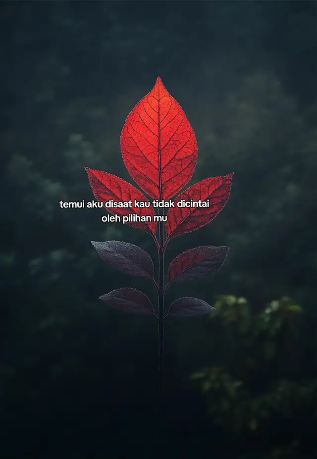 Bahan-bahan :  500 gr ayam, cuci bersih 2 ikat kemangi, daunnya saja 1/2 sdt garam 1/2 sdt merica bubuk 1 sdt gula 1 sdm kecap manis 100-200 ml air Bumbu halus: 10 buah cabe merah keriting 10 buah cabe rawit setan 5 siung bawang merah 5 siung bawang putih 3 butir kemiri Bumbu aromatik : 2 lembar daun salam 2 batang serai geprek 2 ruas jahe geprek 1 cm lengkuas 3-5 lembar daun jeruk Cara Membuat 1.Siapkan bumbu halus dan bumbu aromatik 2.Tumis bumbu hingga harum 3.Masukkan ayam. Utk ayam bisa dimasukkan mentah.. Atau bisa juga direbus dulu sebentar. 4.Masukkan air, beri garam, gula, kaldu bubuk dan merica bubuk. Didihkan 5.Tambahkan kecap manis,aduk rata 6.Masukkan kemangi.. Masak hingga bumbu meresap sempurna.  Sajikan #sad #fypage #fypシ゚ 