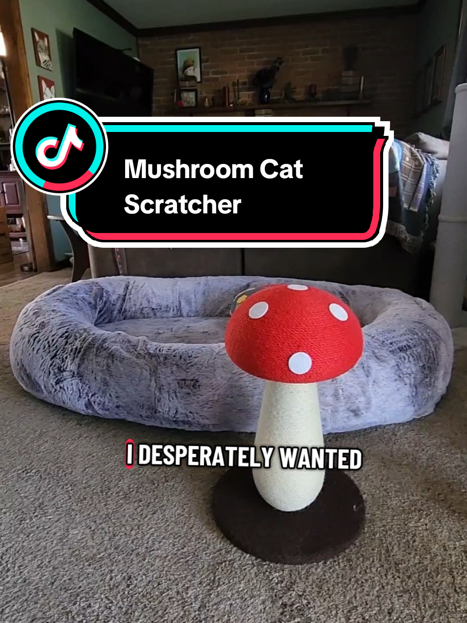 For now its just a cute piece of decor ✨️ #catscratcher #fail #catsoftiktok 