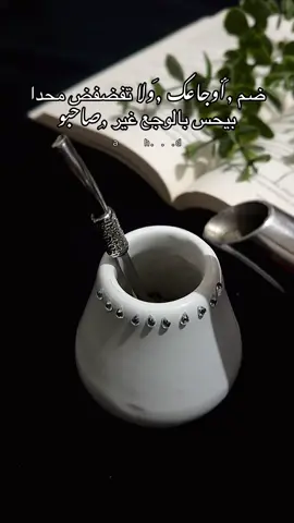 من لا يفهم النبرة لن يفهم الشرح...🖤🥀#viral #fypシ #foryoupagе #مته #عباراتكم_الفخمه📿📌 