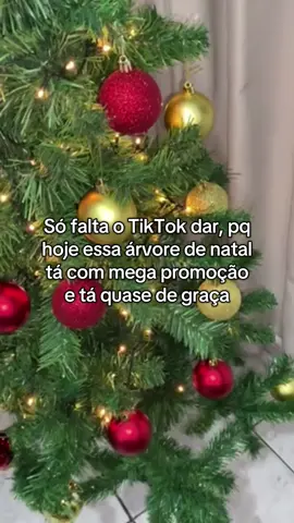 #natal #feliznatal #valeunatalina #papainoel #fyy 