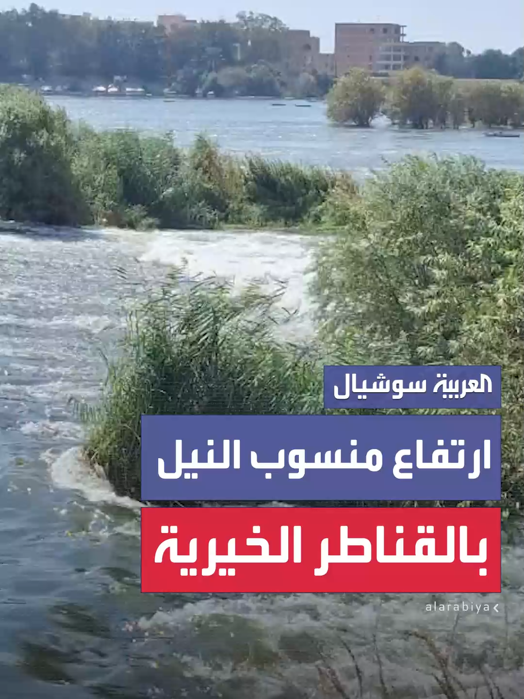 فيديوهات حصرية للعربية والحدث تظهر ارتفاع منسوب مياه النيل في بالقناطر الخيرية في مصر  #العربية