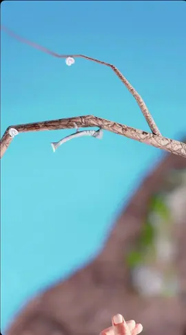 Zack D Films #ZackDFilms #viral #cinematicedit #visuals #business 