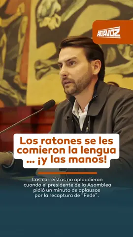 😱   TODOS APLAUDEN, MENOS UNITOS… En el Pleno de la Asamblea Nacional, la bancada de la Revolución Ciudadana no aplaudió cuando el titular del Legislativo, Niels Olsen, pidió a todos los parlamentarios un minuto de aplausos por la recaptura de alias “Fede”, cabecilla de Los Águilas.  📹: X / Niels Olsen