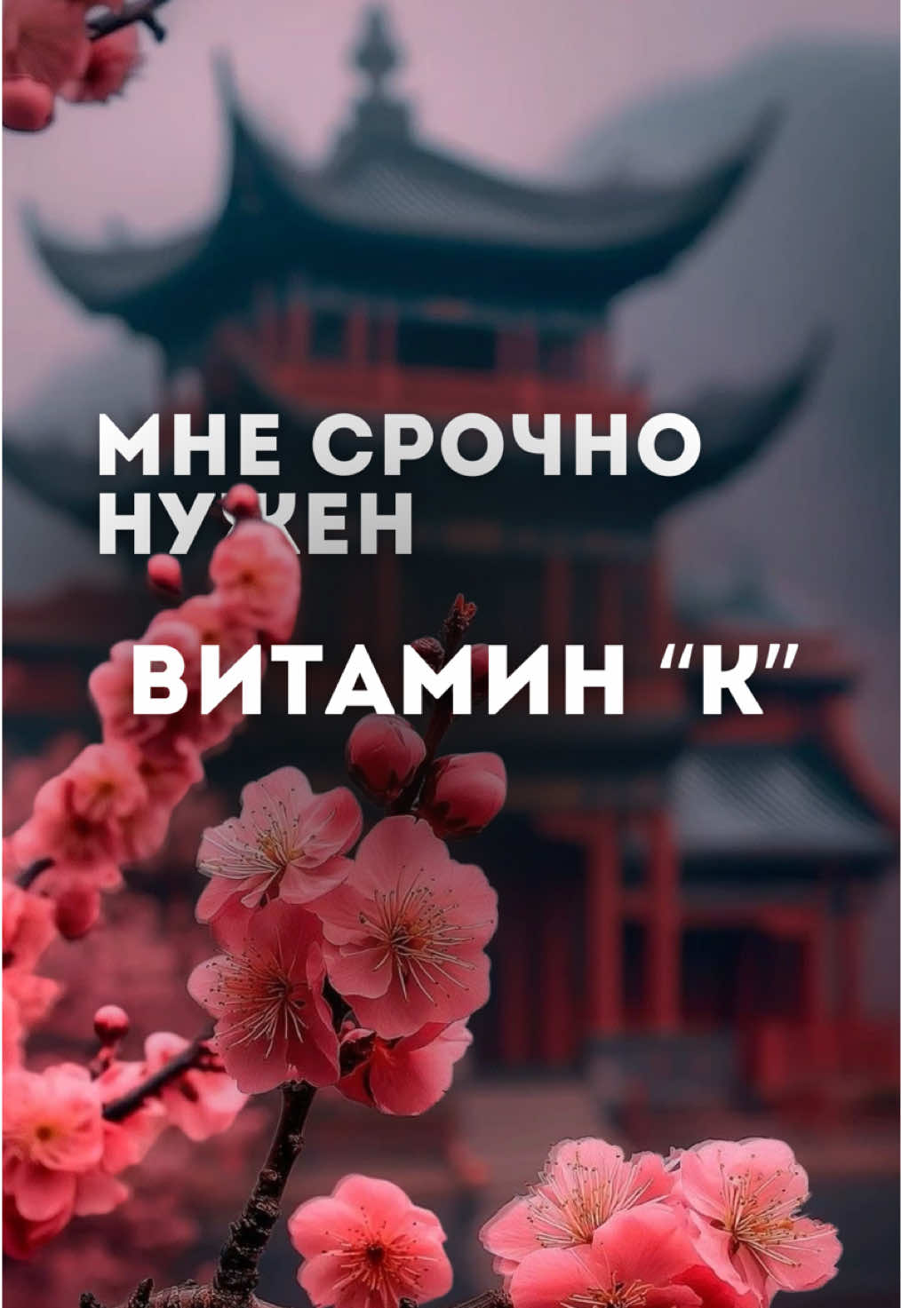 Страна, где каждая поездка наполняет энергией, вдохновением и новыми открытиями. Здесь есть всё: 🏙 мегаполисы будущего 🏯 древние города и легенды ⛰ горы, ставшие прообразом «Аватара» 🌉 мосты и огни, которые завораживают Китай — это твой главный витамин этой осени. Он заряжает так, как не сможет ни один комплекс 🇨🇳 Подобрать тур:  📲 +7 700 888 25 88 📍 г. Алматы, ул. Макатаева 131, корпус 8, офис 130 #Китай2025 #АвторскийТур #ГорыАватара #турвкитай #путешествиевкитай  