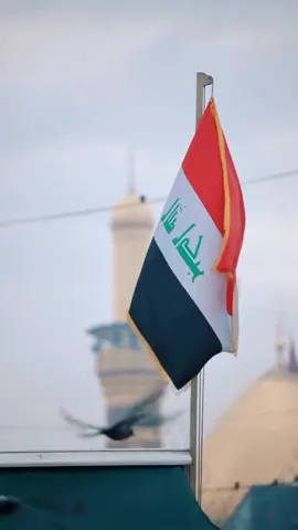 عشاق العراق #الرادود_كرار_ابو_غنيم 
