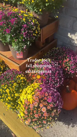 I already need to go back for more popcorn #traderjoes #fall #traderjoesfinds #autumn #nashvillefoodies 