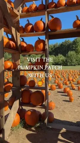the best fall vibes 🎃 Cooper loved running around the pumpkin patch! 🤎🍁 #pumpkinseason #MomsofTikTok #momlife #fallvibes🍂 #pumpkinpatch 