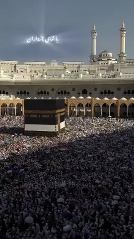 یارسول اللە #nono_music #kurd #kurdistan 