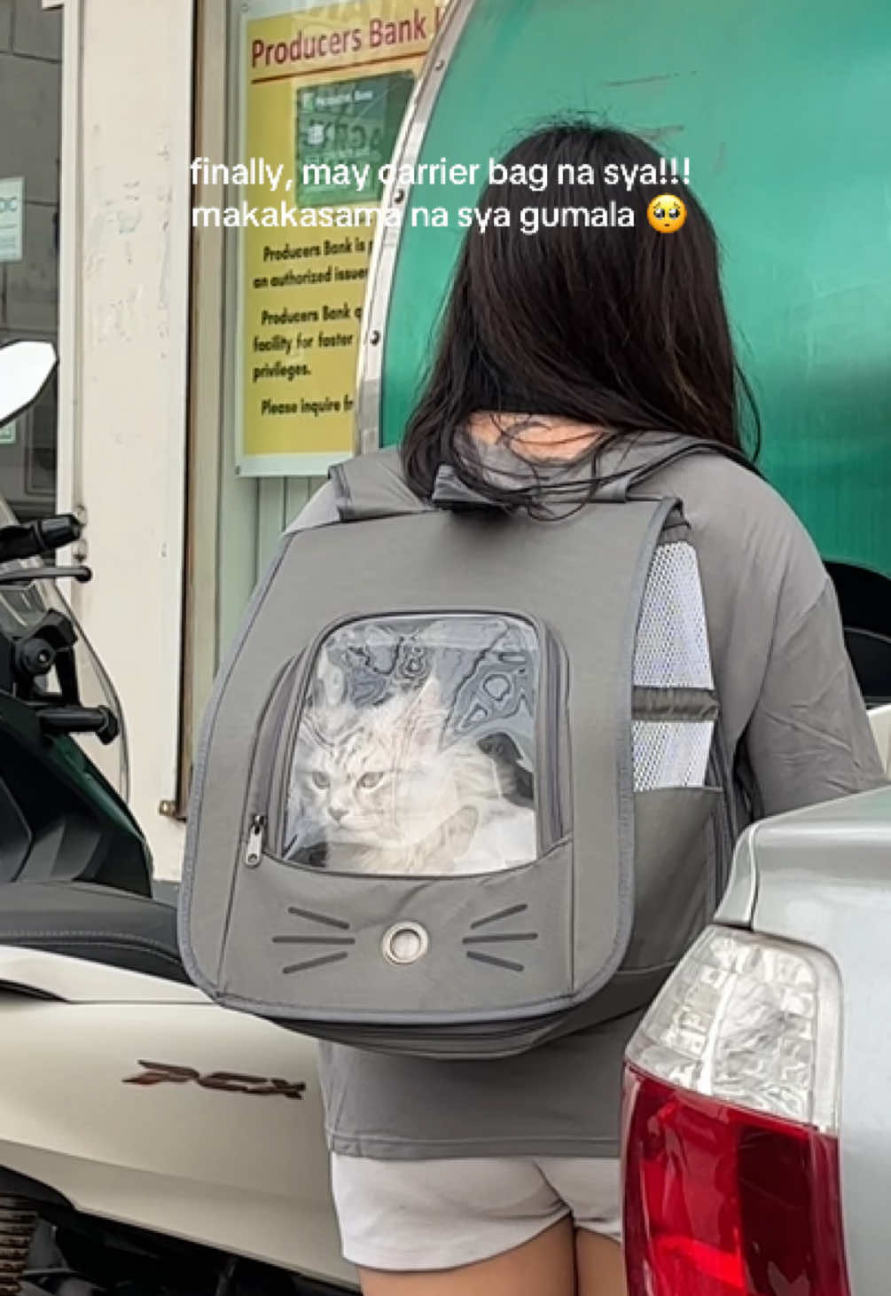 💖 #cat #furparents #catsoftiktok #catcarrier #catbag 