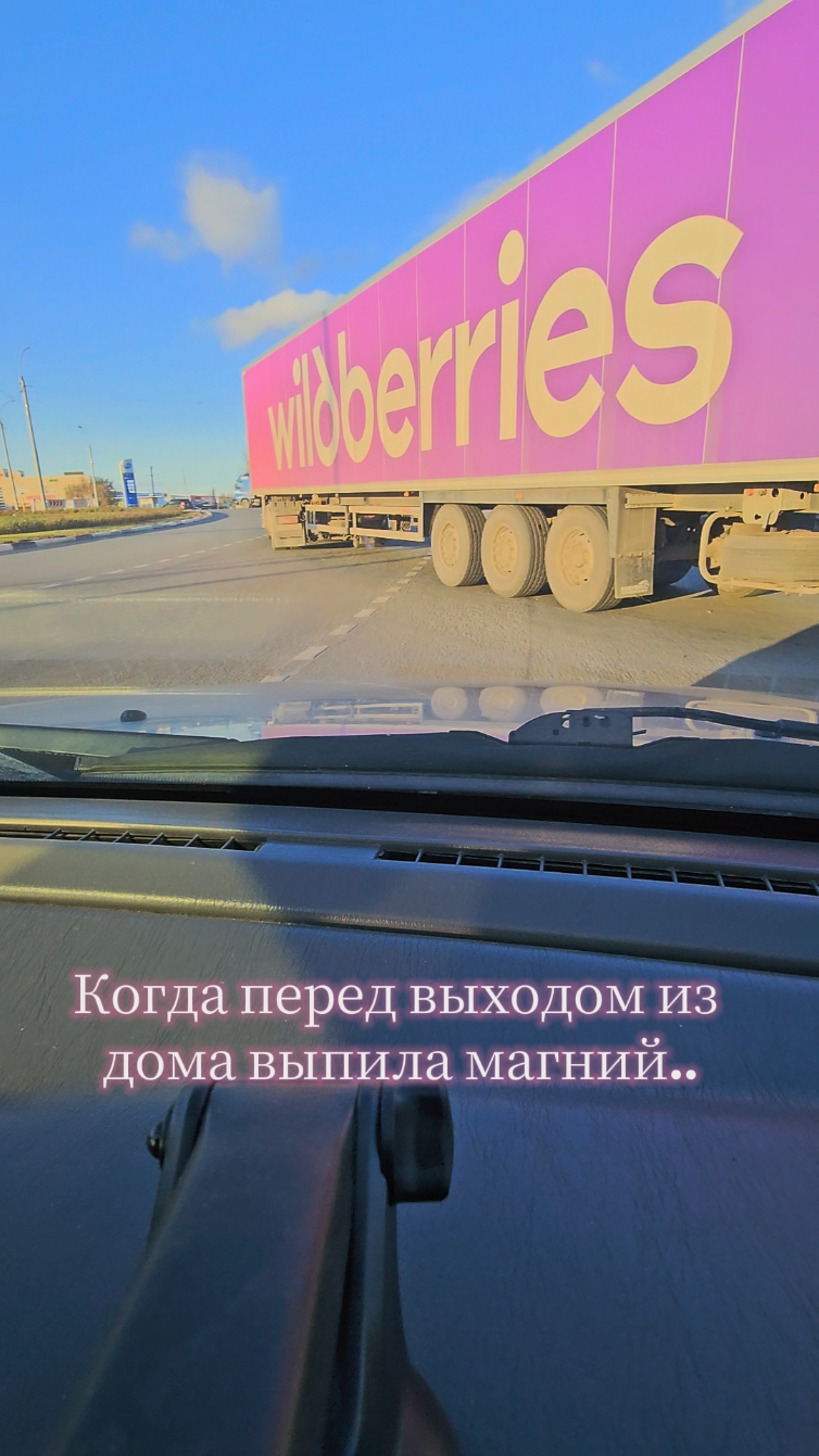#вождение #дтп #гаи #гибдд #вб #wb #wildberries #вайлдберриз #фура #пдд #кольцо #обь #новосибирск 