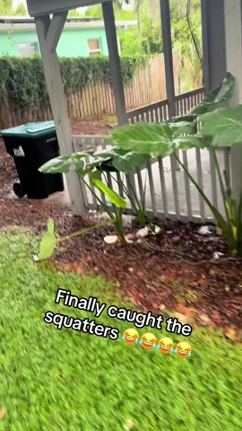 Lmaoooo omg 😂😂😂😂😂😂 #explorepage✨ #keemnikita #squatters #fypシ #viralvideo #viral 