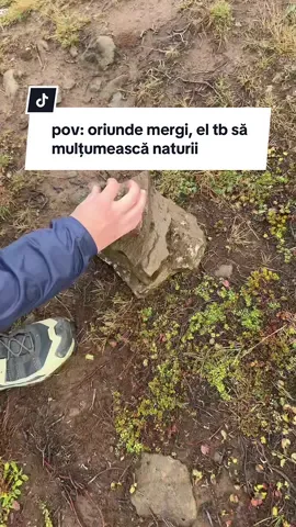 aparent se numesc “cairns”, ei bine a facut minim 30 de cairns vacanta asta #fyp #foryou #teodorastoica #iceland #foryoupage 