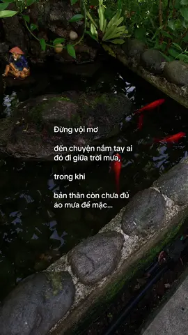 …#tamtrang #story 